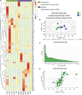 Comparative Analysis of Traditional and Modern Fermentation for Xuecai and Correlations Between Volatile Flavor Compounds and Bacterial Community